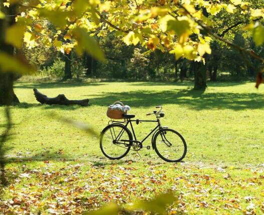 那么多成功勉励富二代,你假装眼瞎看不见